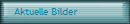 Aktuelle Bilder